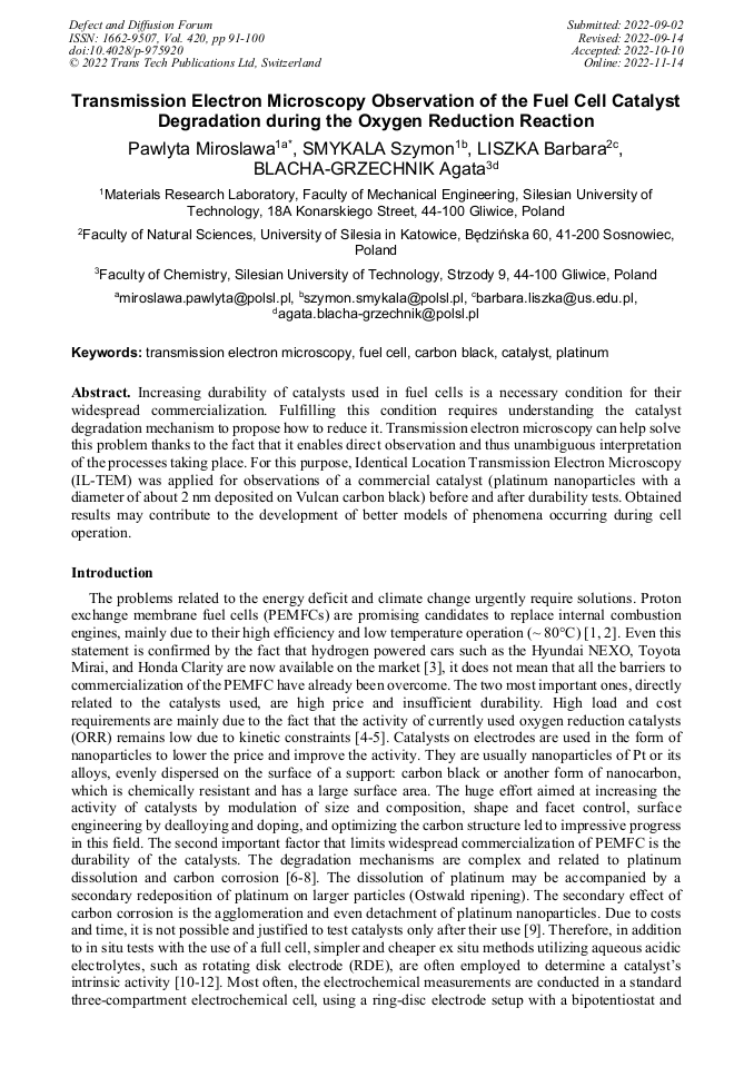 Transmission Electron Microscopy Observation of the Fuel Cell Catalyst