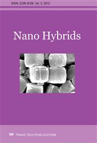 Nano Hybrids Vol. 2