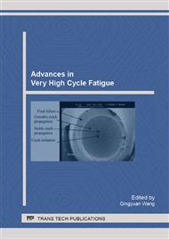 Advances in Very High Cycle Fatigue