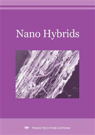 Nano Hybrids Vol. 10